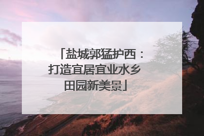盐城郭猛护西：打造宜居宜业水乡田园新美景