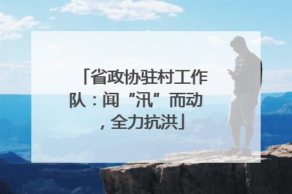 省政协驻村工作队：闻“汛”而动，全力抗洪