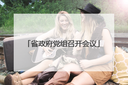 省政府党组召开会议