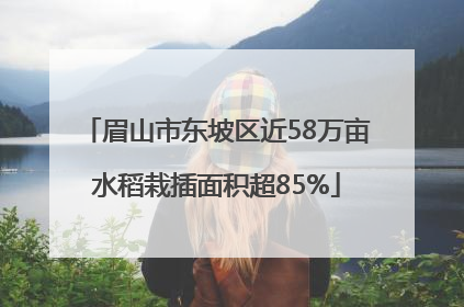 眉山市东坡区近58万亩水稻栽插面积超85%