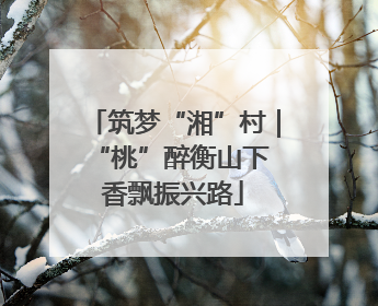 筑梦“湘”村｜“桃”醉衡山下 香飘振兴路