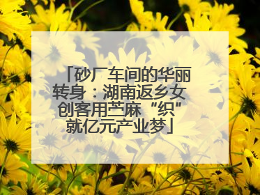 砂厂车间的华丽转身：湖南返乡女创客用苎麻“织”就亿元产业梦