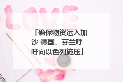 确保物资运入加沙 德国、芬兰呼吁向以色列施压
