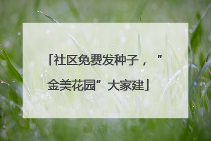 社区免费发种子，“金美花园”大家建