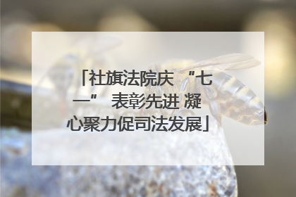 社旗法院庆 “七一” 表彰先进 凝心聚力促司法发展