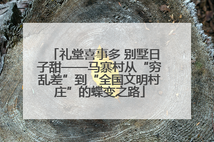 礼堂喜事多 别墅日子甜——马寨村从“穷乱差”到“全国文明村庄”的蝶变之路