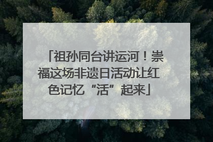 祖孙同台讲运河！崇福这场非遗日活动让红色记忆“活”起来