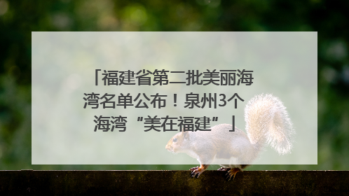 福建省第二批美丽海湾名单公布！泉州3个海湾“美在福建”