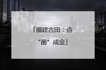 福建古田：点“菌”成金