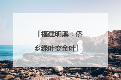 福建明溪：侨乡绿叶变金叶