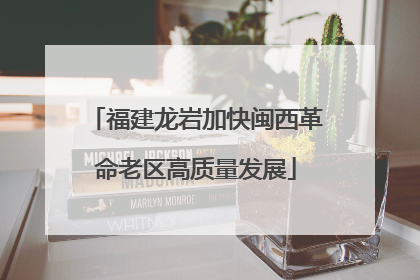 福建龙岩加快闽西革命老区高质量发展