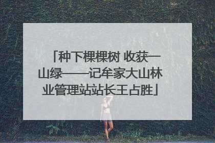 种下棵棵树 收获一山绿——记牟家大山林业管理站站长王占胜