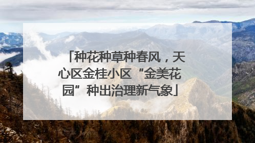种花种草种春风，天心区金桂小区“金美花园”种出治理新气象