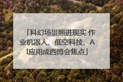 科幻场景照进现实 作业机器人、低空科技、AI应用成西博会焦点