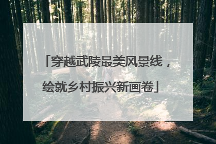 穿越武陵最美风景线，绘就乡村振兴新画卷