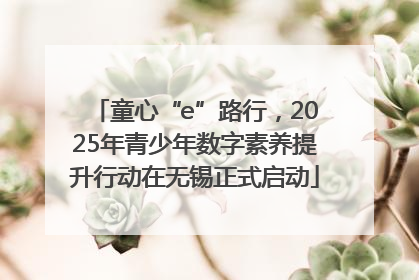 童心“e”路行，2025年青少年数字素养提升行动在无锡正式启动