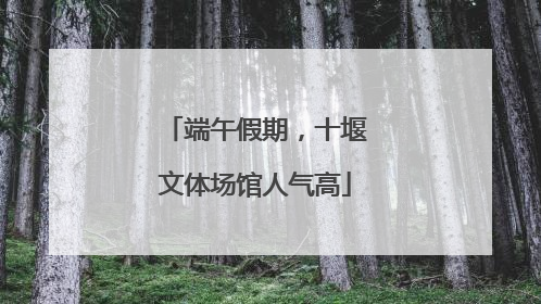 端午假期，十堰文体场馆人气高