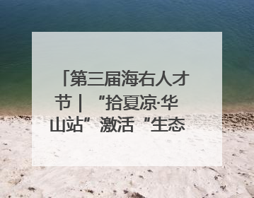 第三届海右人才节｜“拾夏凉·华山站”激活“生态聚才”强磁场