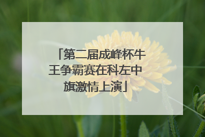 第二届成峰杯牛王争霸赛在科左中旗激情上演