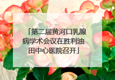 第二届黄河口乳腺病学术会议在胜利油田中心医院召开