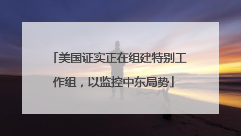 美国证实正在组建特别工作组，以监控中东局势