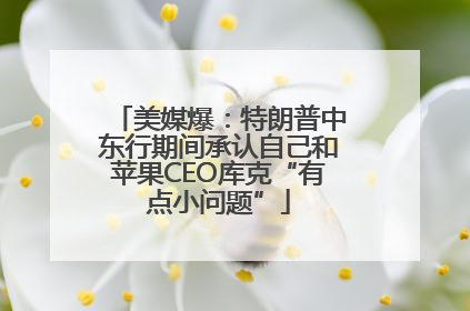美媒爆：特朗普中东行期间承认自己和苹果CEO库克“有点小问题”