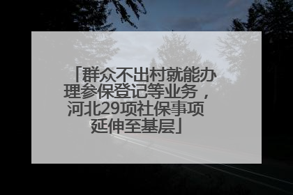 群众不出村就能办理参保登记等业务，河北29项社保事项延伸至基层