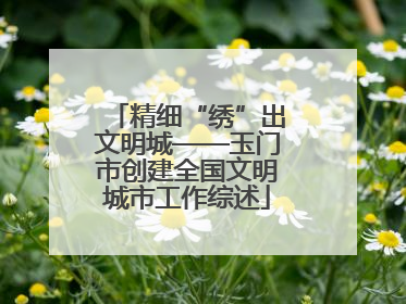 精细“绣”出文明城——玉门市创建全国文明城市工作综述