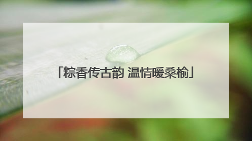 粽香传古韵 温情暖桑榆