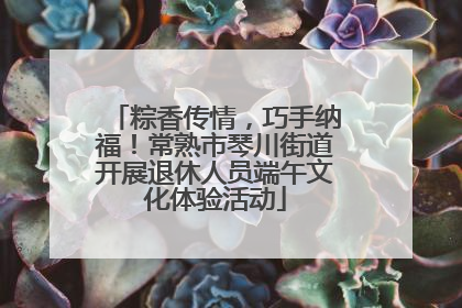 粽香传情，巧手纳福！常熟市琴川街道开展退休人员端午文化体验活动