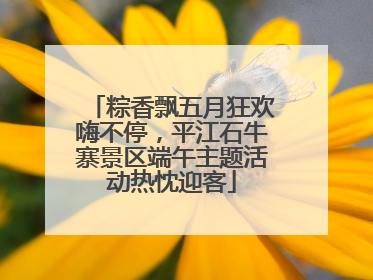 粽香飘五月狂欢嗨不停，平江石牛寨景区端午主题活动热忱迎客
