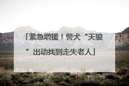 紧急增援！警犬“天狼”出动找到走失老人