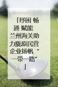 纾困 畅通 赋能 兰州海关助力陇原民营企业扬帆“一带一路”
