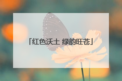 红色沃土 绿韵旺苍