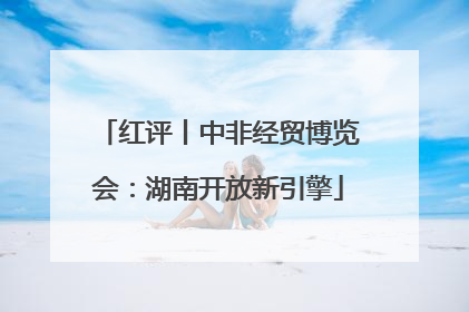 红评丨中非经贸博览会：湖南开放新引擎
