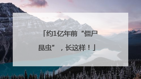 约1亿年前“僵尸昆虫”，长这样！