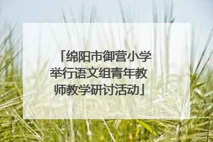 绵阳市御营小学举行语文组青年教师教学研讨活动