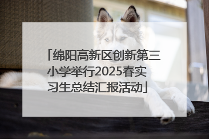 绵阳高新区创新第三小学举行2025春实习生总结汇报活动