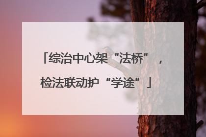 综治中心架“法桥”，检法联动护“学途”