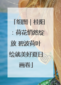 组图｜桂阳：荷花悄然绽放 碧波荷叶绘就美好夏日画卷