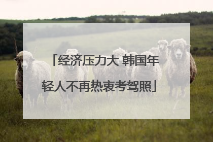 经济压力大 韩国年轻人不再热衷考驾照