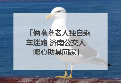 俩耄耋老人独自乘车迷路 济南公交人暖心助其回家