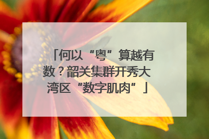 何以“粤”算越有数？韶关集群开秀大湾区“数字肌肉”