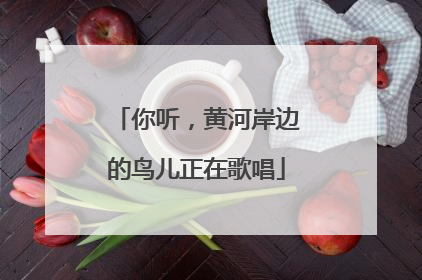你听，黄河岸边的鸟儿正在歌唱