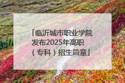 临沂城市职业学院发布2025年高职（专科）招生简章