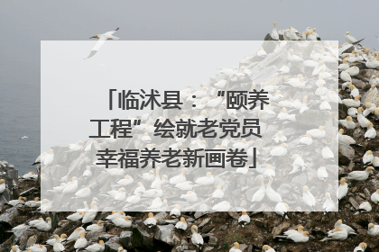 临沭县：“颐养工程”绘就老党员幸福养老新画卷