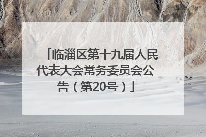 临淄区第十九届人民代表大会常务委员会公告（第20号）