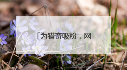 为猎奇吸粉，网络主播直播战斗机起降引来间谍！正要直播某新型战机试飞时……