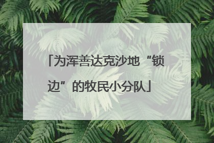 为浑善达克沙地“锁边”的牧民小分队