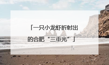 一只小龙虾折射出的合肥“三重光”